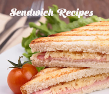 Sandwich Recipes